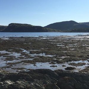 Meet your Posher, Michele